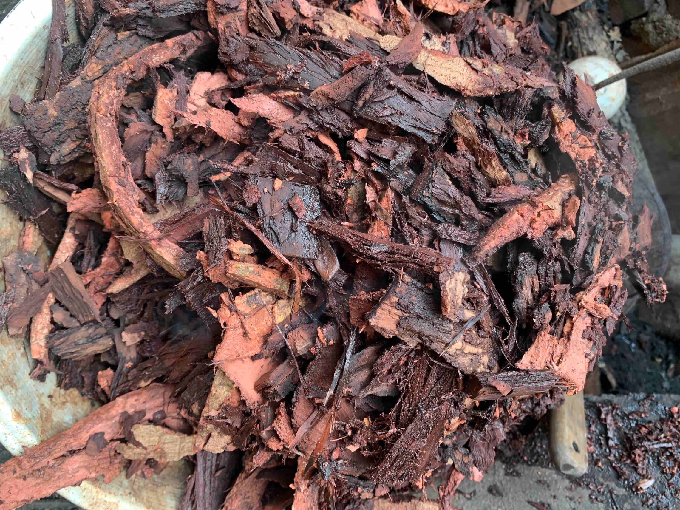 Sourcing Natural Tones from Coconut Husks